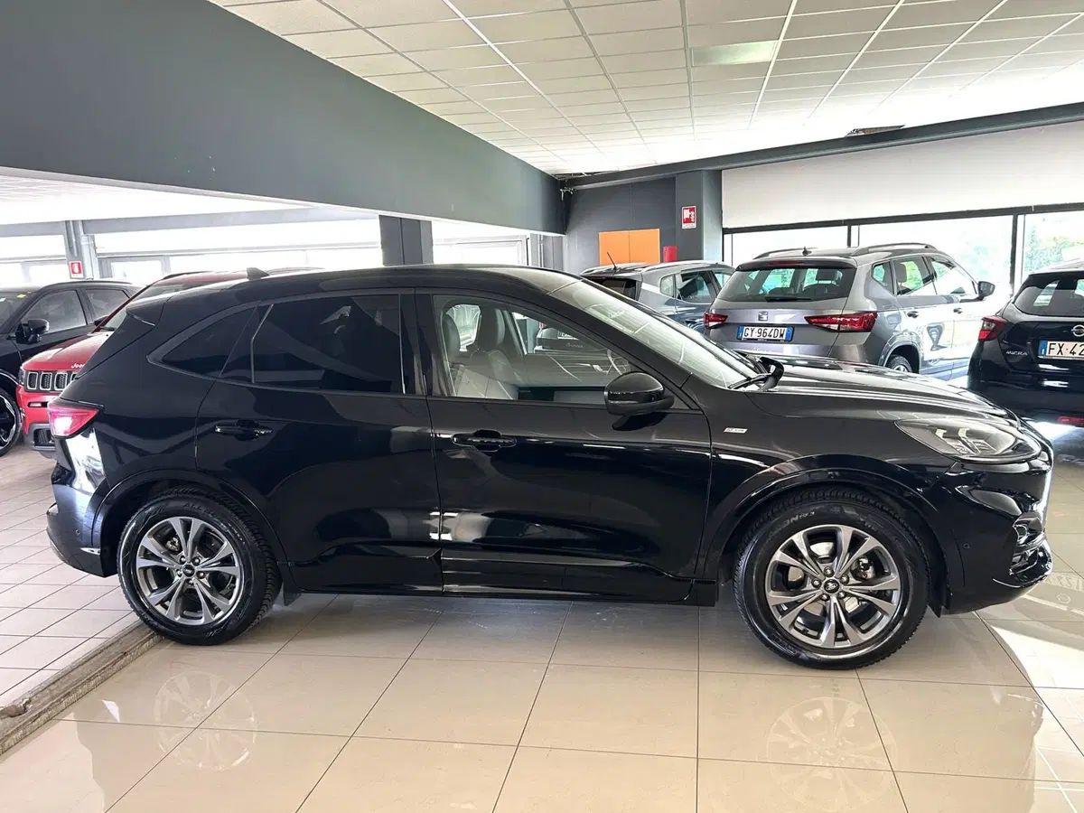 Ford Kuga usata a Ferrara (4)