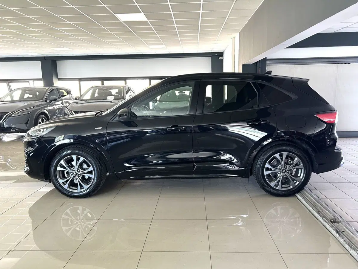 Ford Kuga usata a Ferrara (6)