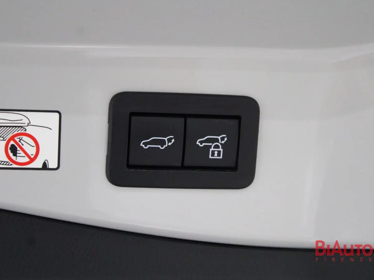 Toyota Toyota C-HR usata a Firenze (19)