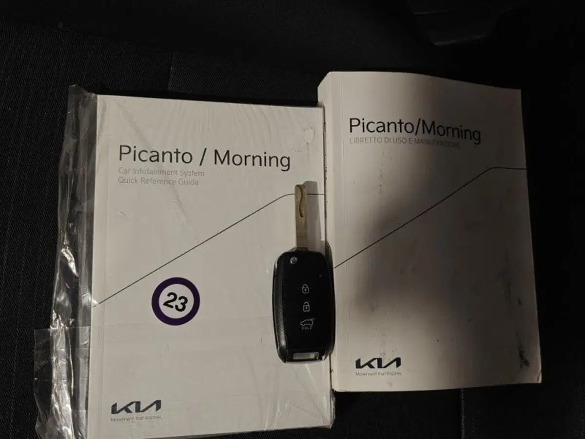 Kia Picanto usata a Genova (20)