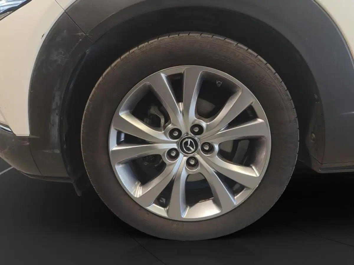 Mazda CX-30 usata a Genova (18)