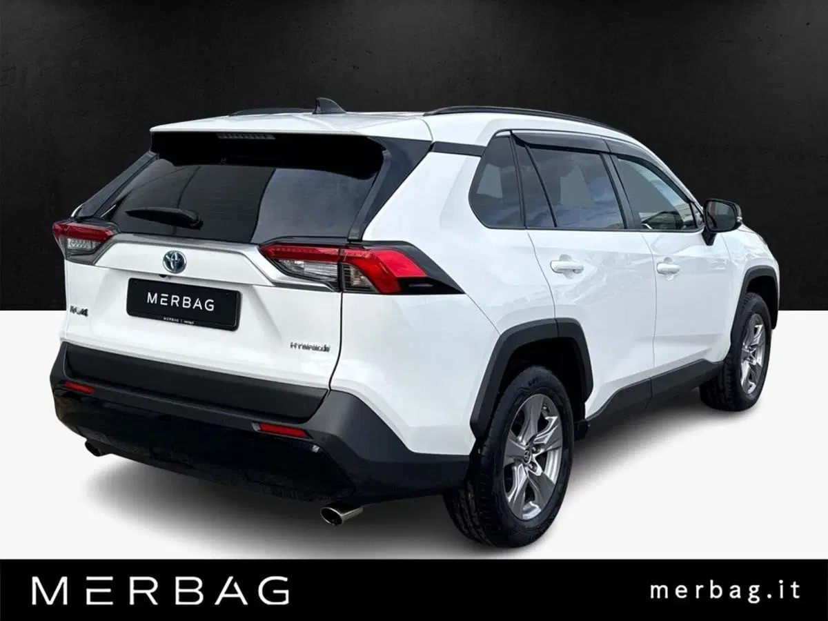 Toyota Rav4 usata a Milano (2)