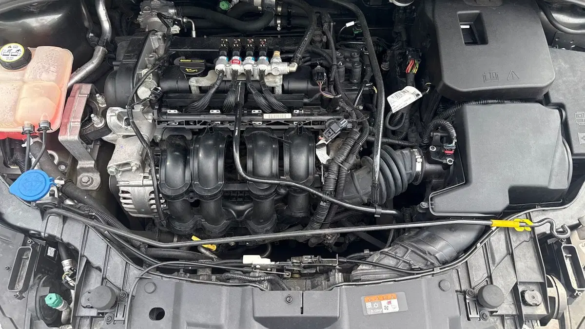 Ford Focus Station Wagon usata a Treviso (20)