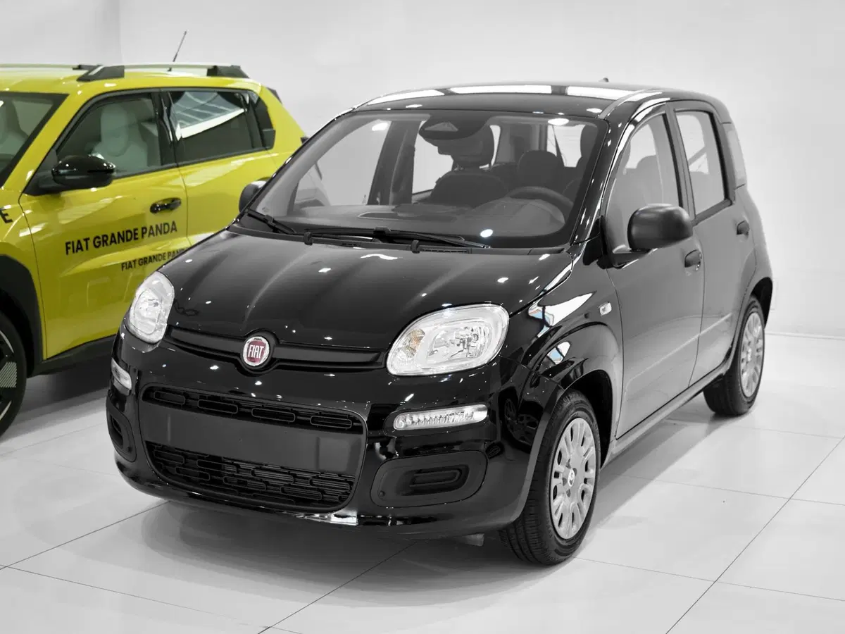 Fiat Panda nuova a Prato (2)