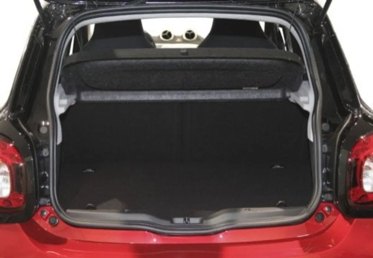 smart forfour usata a Palermo (11)