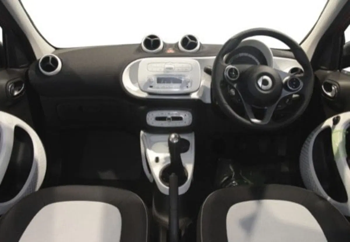 smart forfour usata a Palermo (7)