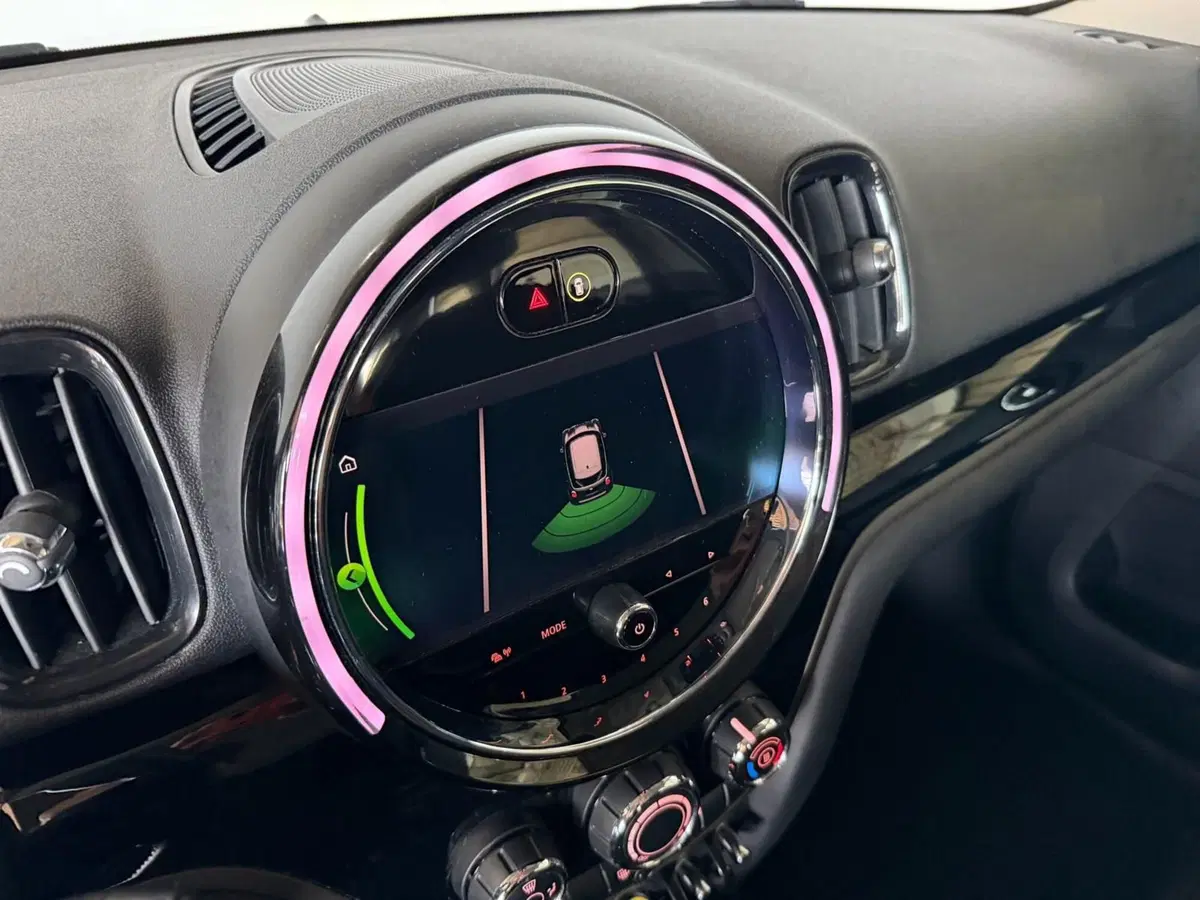 MINI Mini Countryman usata a Monza e Brianza (10)