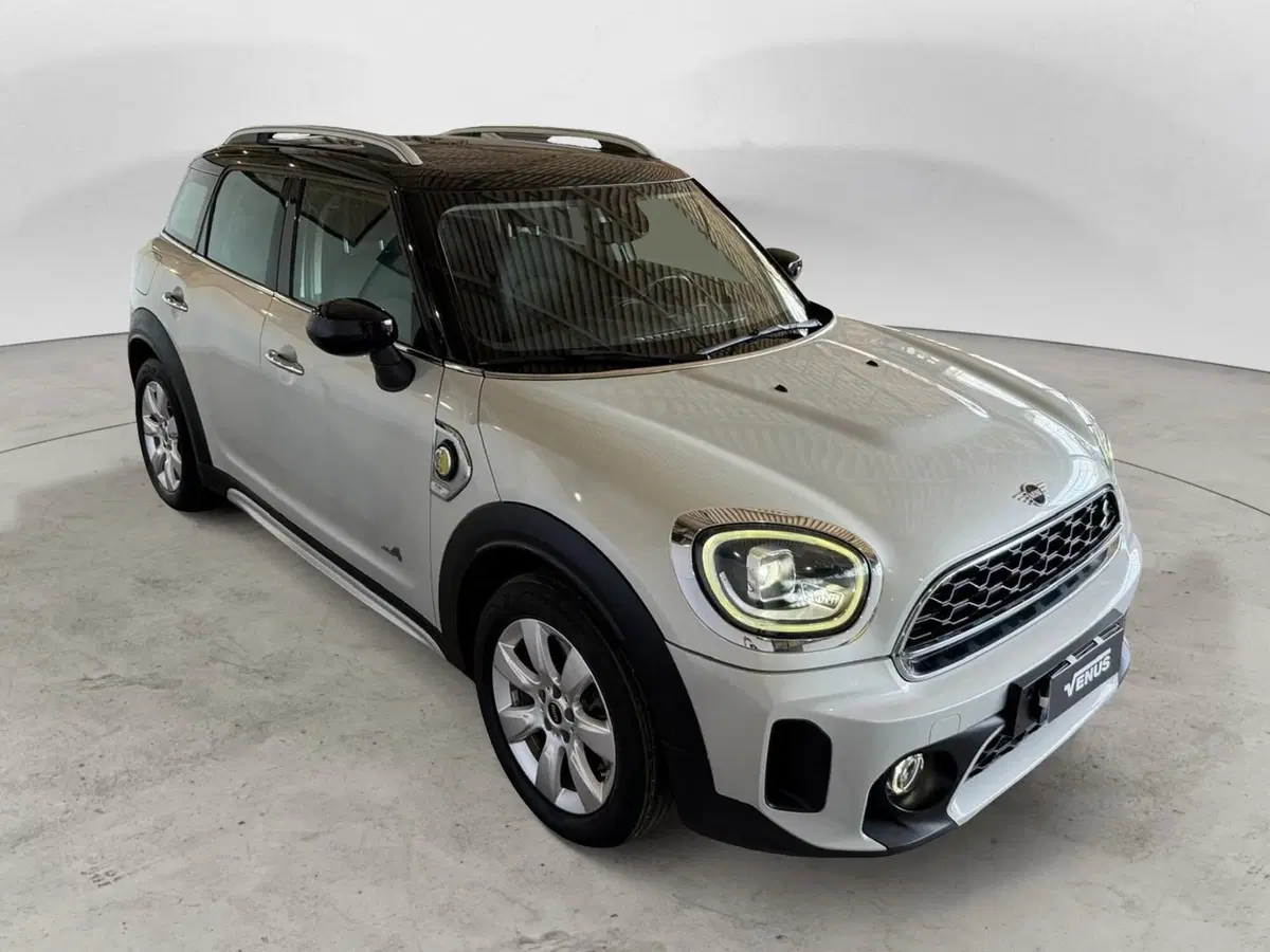 MINI Mini Countryman usata a Monza e Brianza (13)