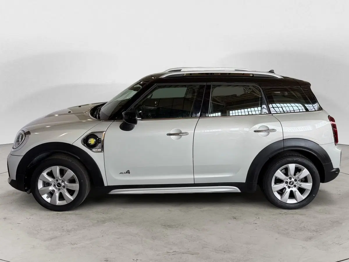 MINI Mini Countryman usata a Monza e Brianza (3)