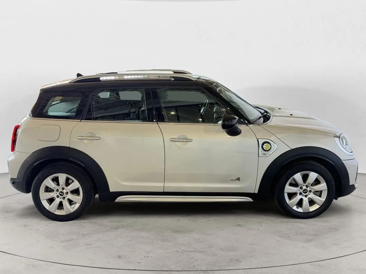 MINI Mini Countryman usata a Monza e Brianza (7)