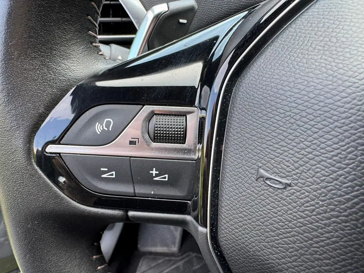 Peugeot 3008 usata a Salerno (19)