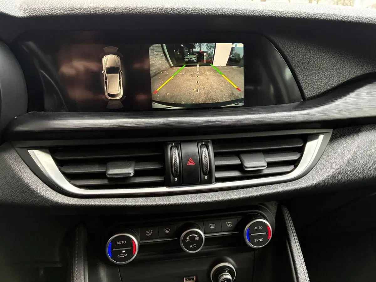 Alfa Romeo Stelvio usata a Monza e Brianza (12)