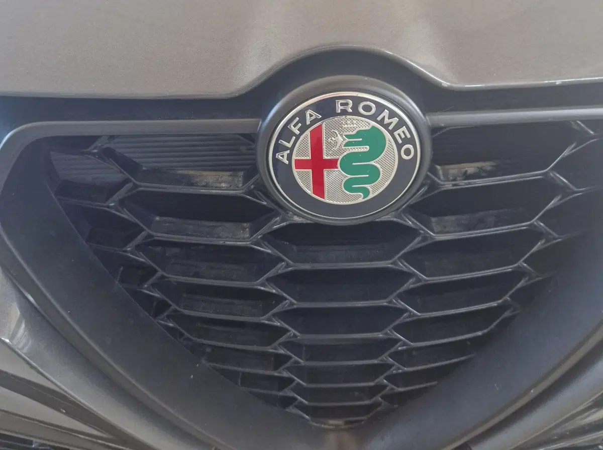 Alfa Romeo Tonale usata a Terni (20)
