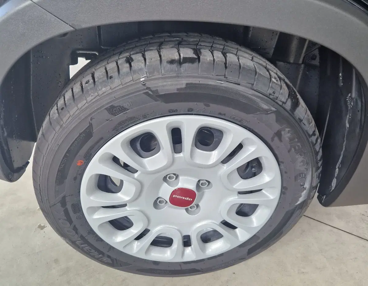 Fiat Panda Cross nuova a Terni (14)