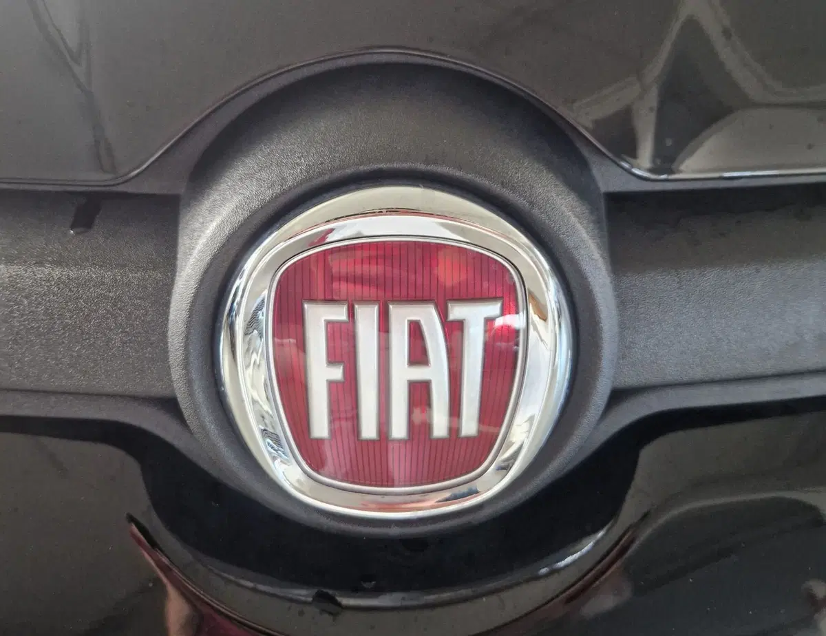 Fiat Panda Cross nuova a Terni (19)