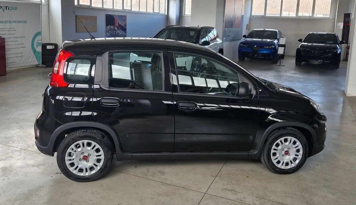 Fiat Panda Cross nuova a Terni (3)