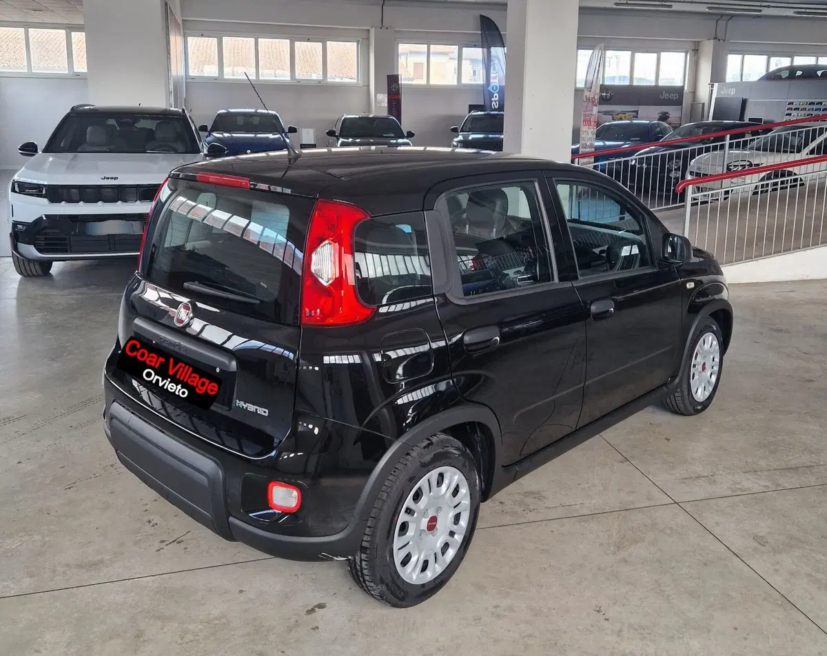 Fiat Panda Cross nuova a Terni (4)