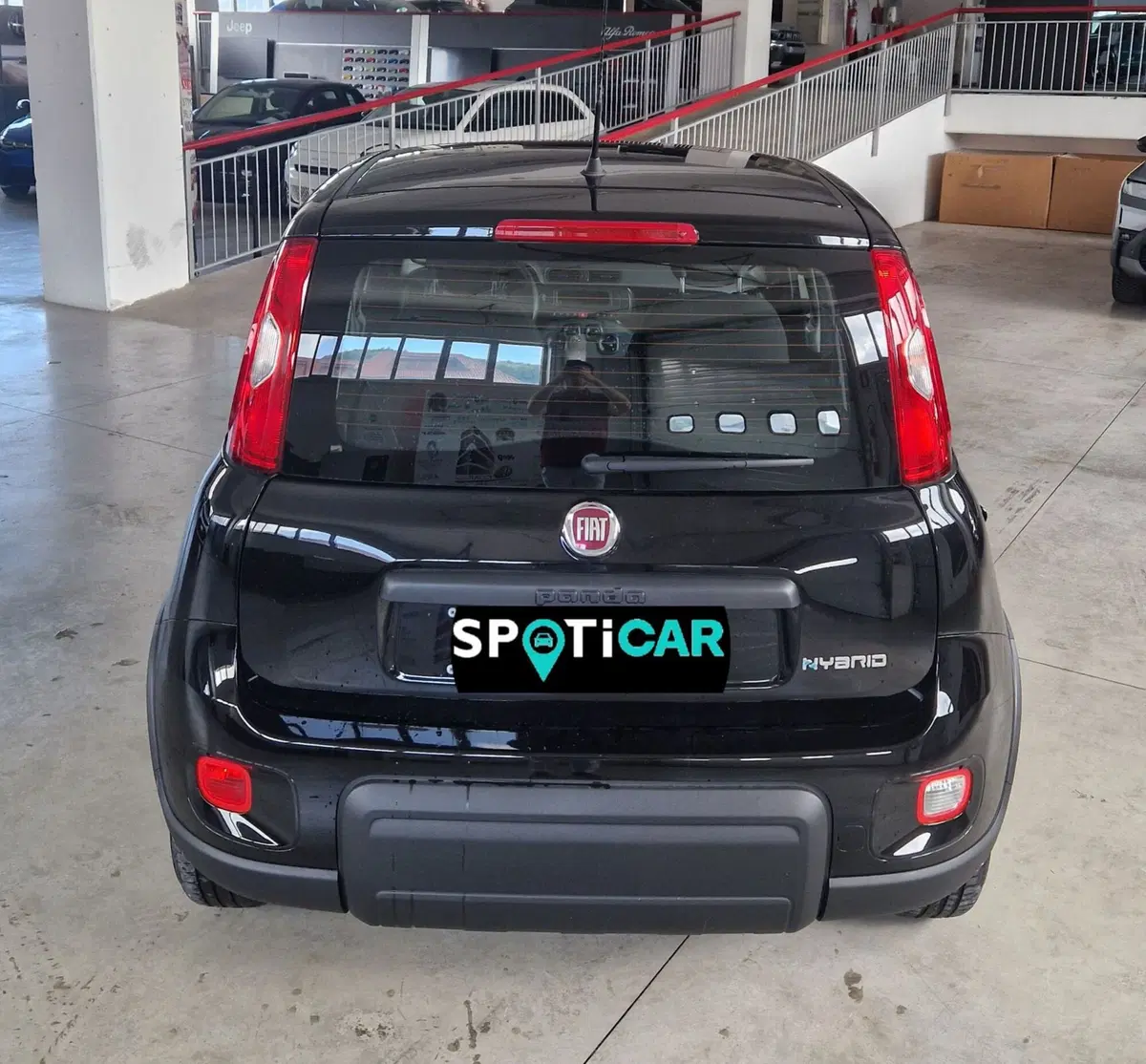 Fiat Panda Cross nuova a Terni (5)