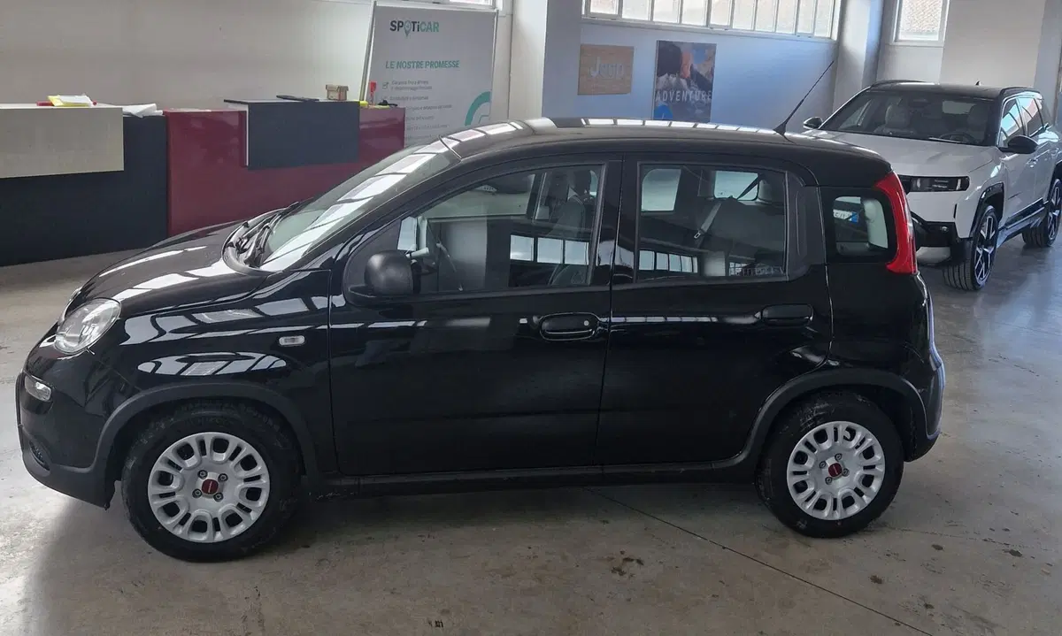 Fiat Panda Cross nuova a Terni (6)