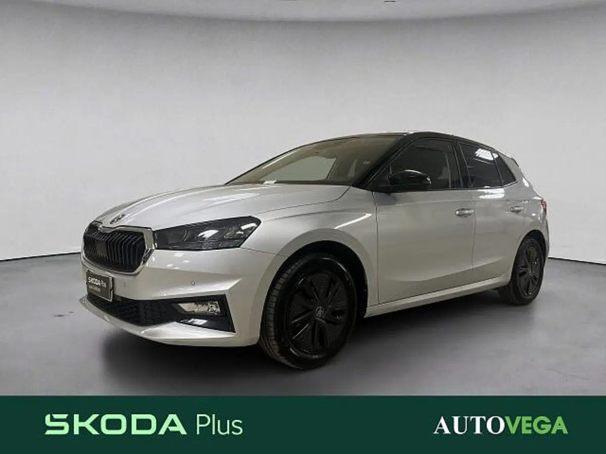 Skoda Fabia usata a Vicenza