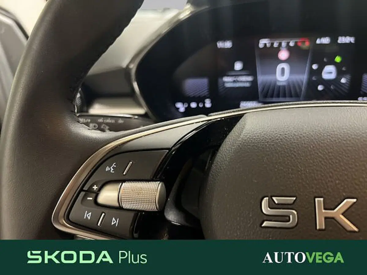 Skoda Fabia usata a Vicenza (16)
