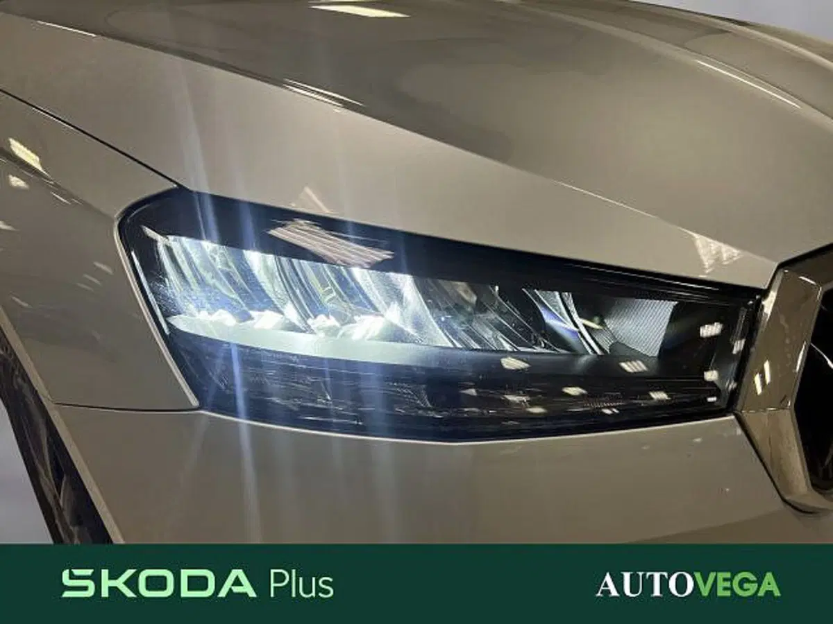 Skoda Fabia usata a Vicenza (19)