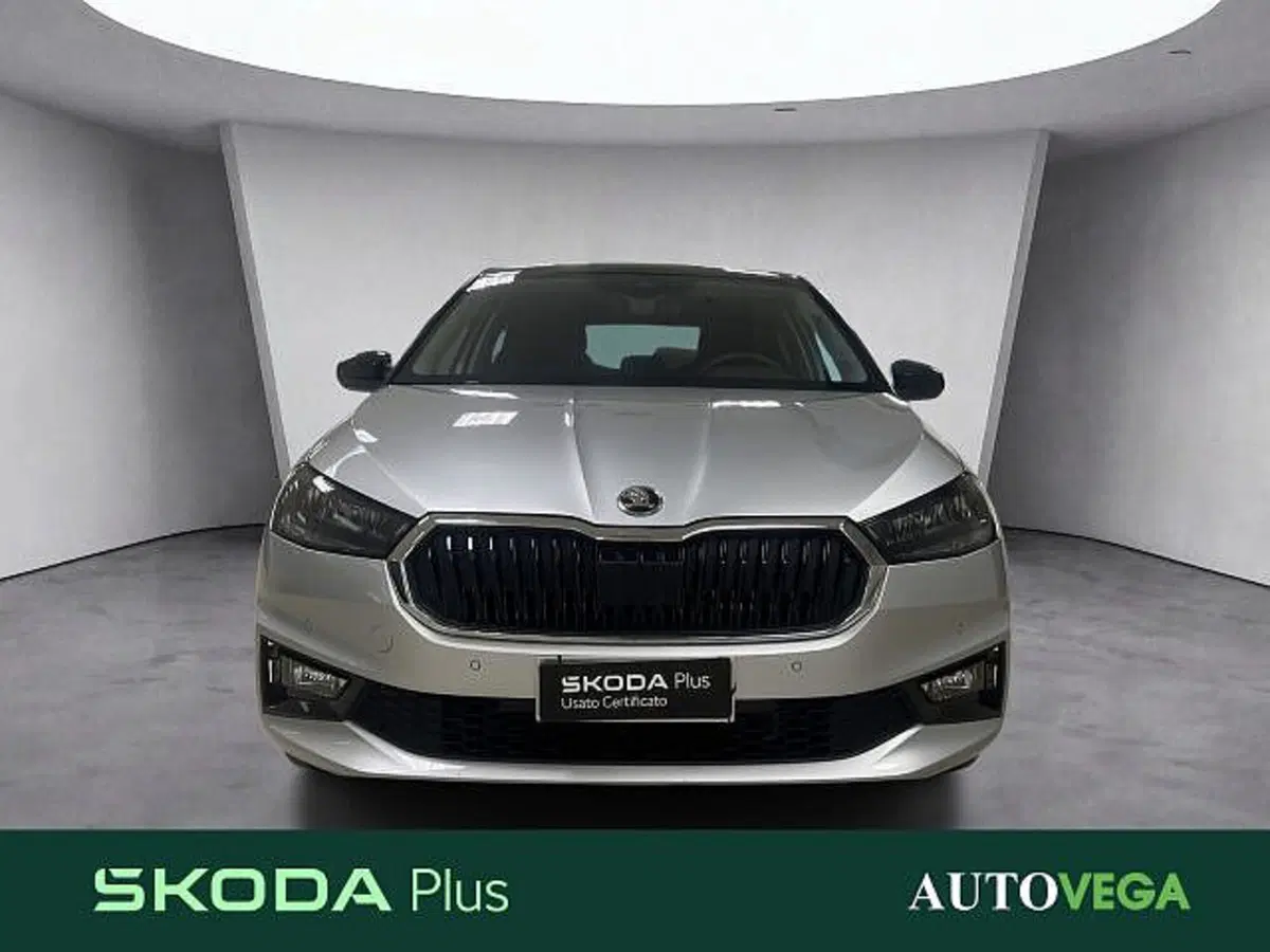 Skoda Fabia usata a Vicenza (2)