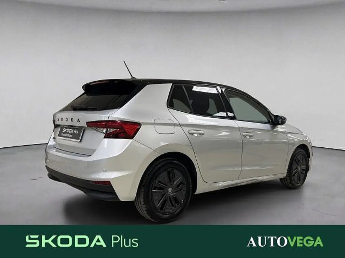 Skoda Fabia usata a Vicenza (4)