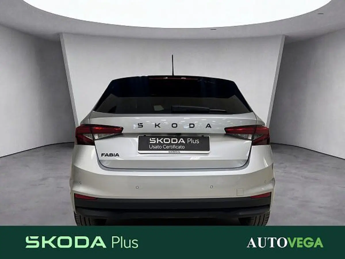 Skoda Fabia usata a Vicenza (5)