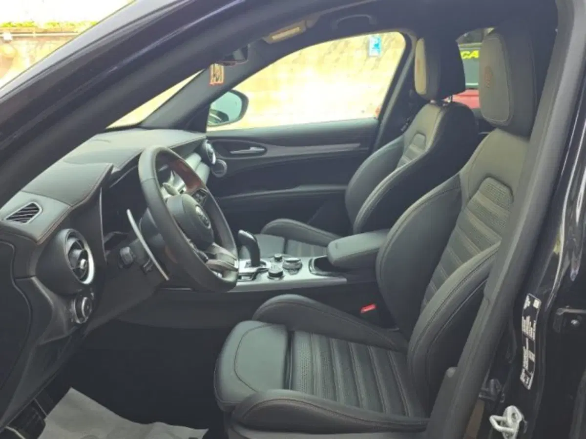 Alfa Romeo Stelvio usata a Monza e Brianza (11)