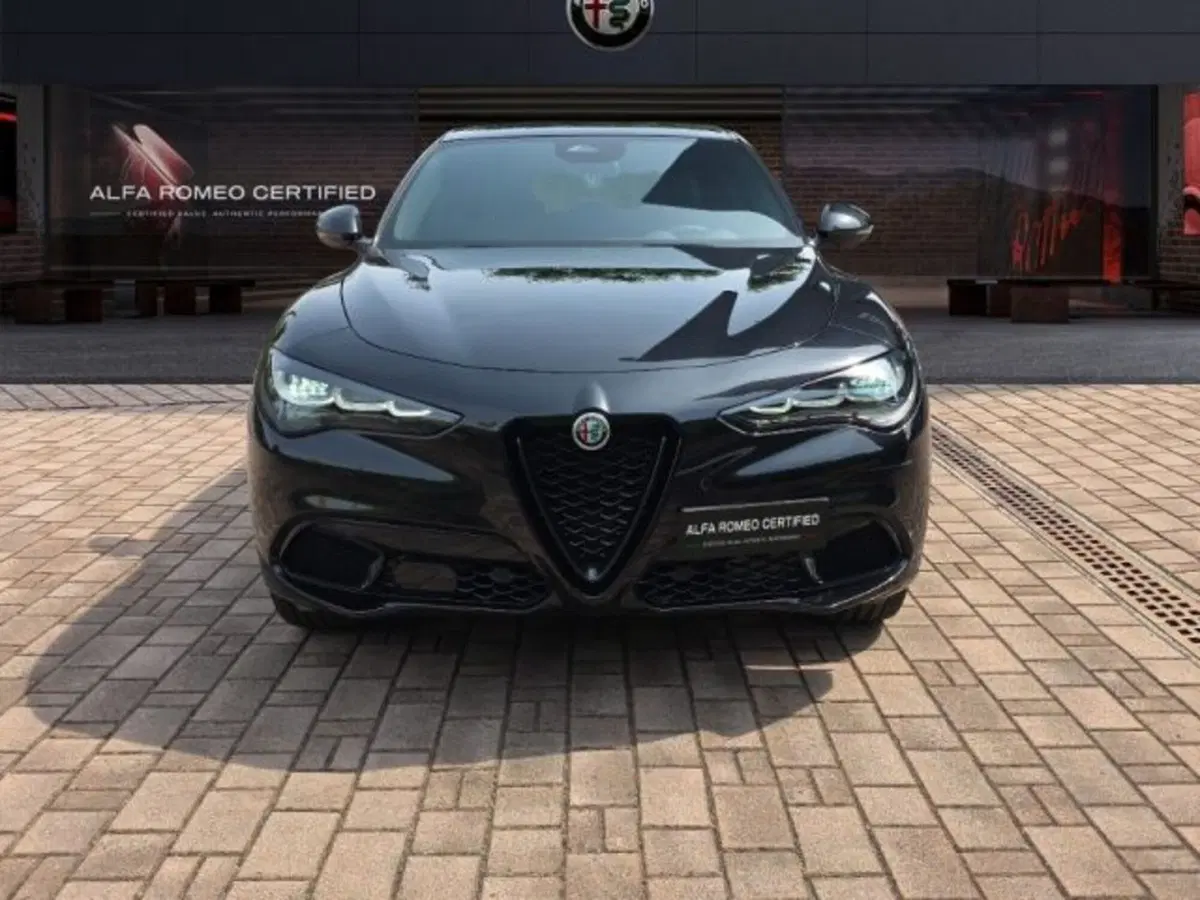 Alfa Romeo Stelvio usata a Monza e Brianza (2)