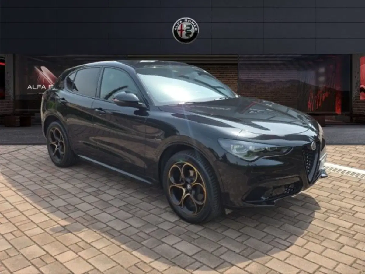 Alfa Romeo Stelvio usata a Monza e Brianza (3)