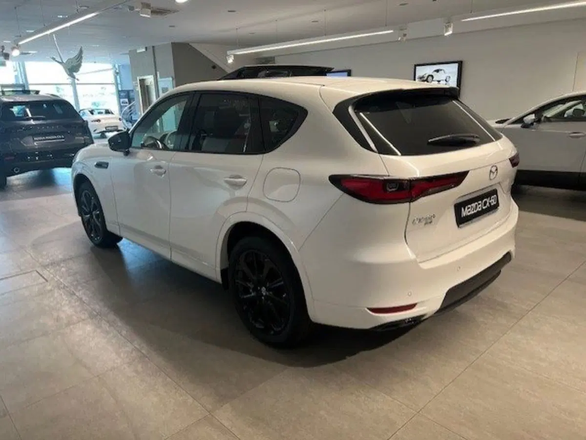 Mazda CX-60 nuova a Cuneo (6)