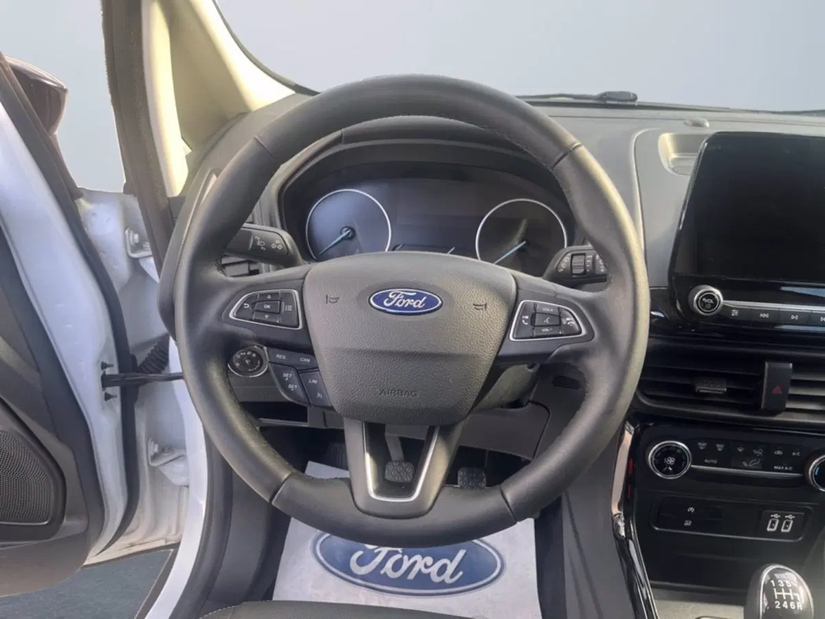 Ford EcoSport usata a Milano (14)