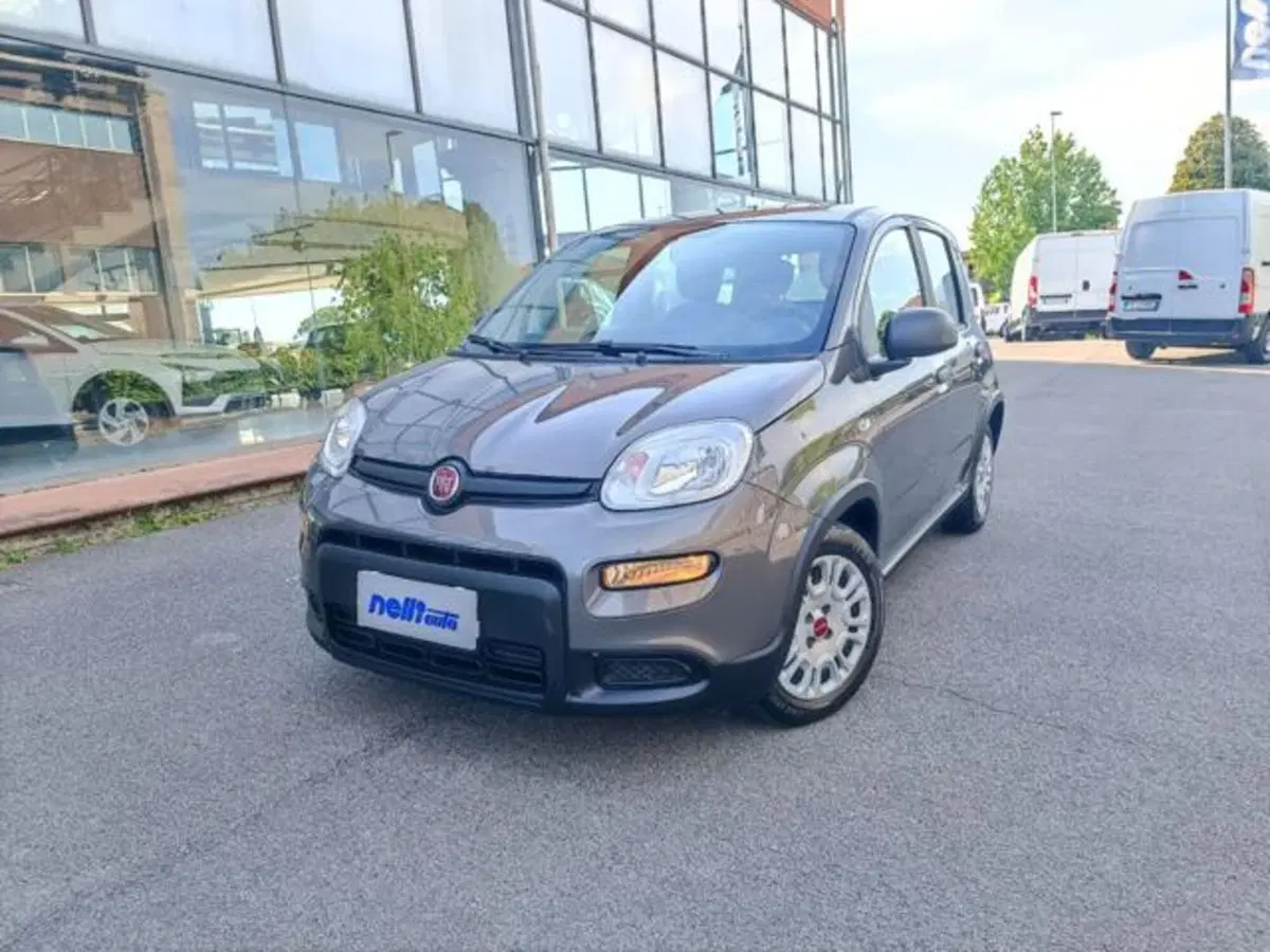 Fiat Panda usata a Pisa