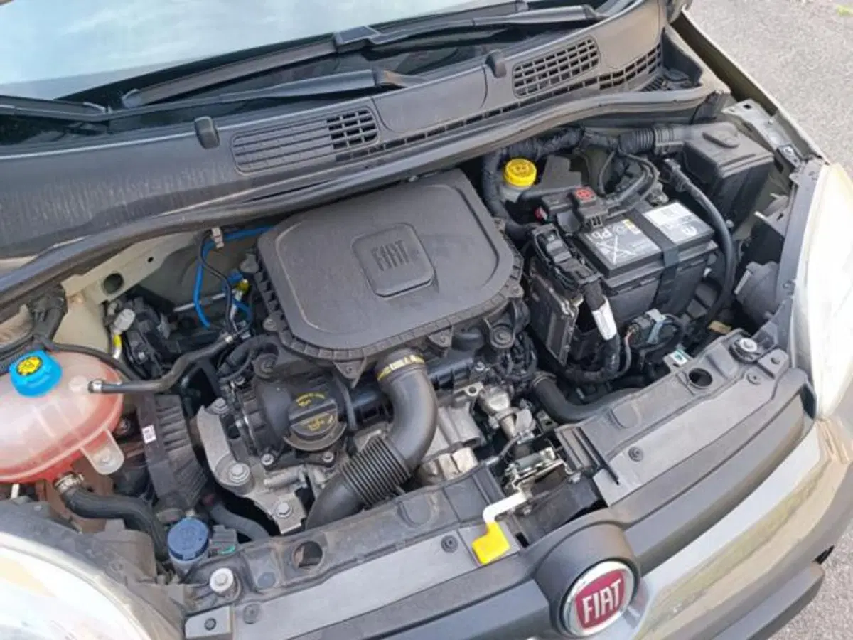 Fiat Panda usata a Pisa (10)