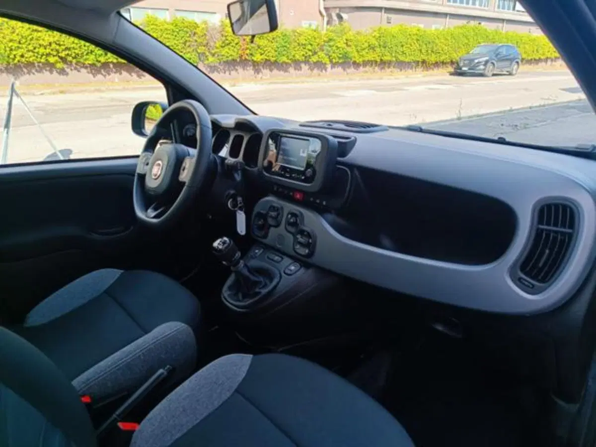 Fiat Panda usata a Pisa (12)