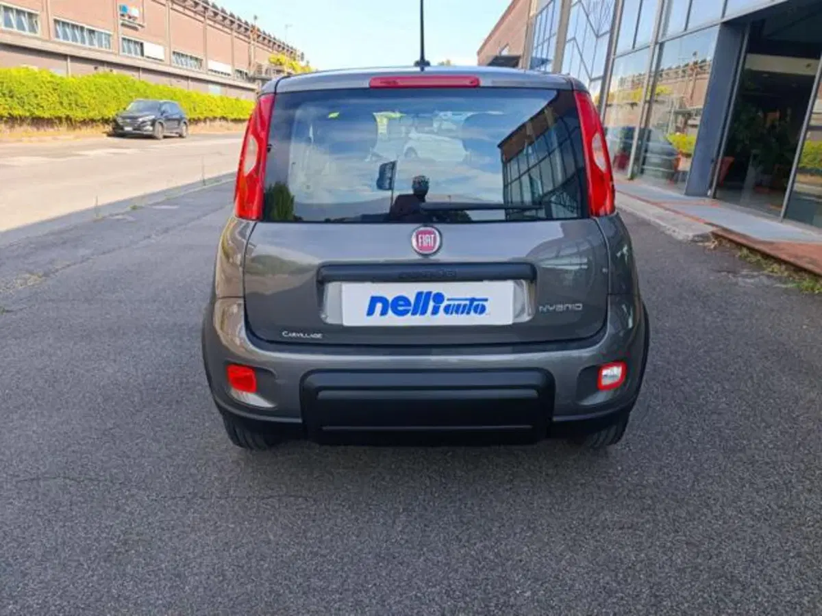 Fiat Panda usata a Pisa (14)