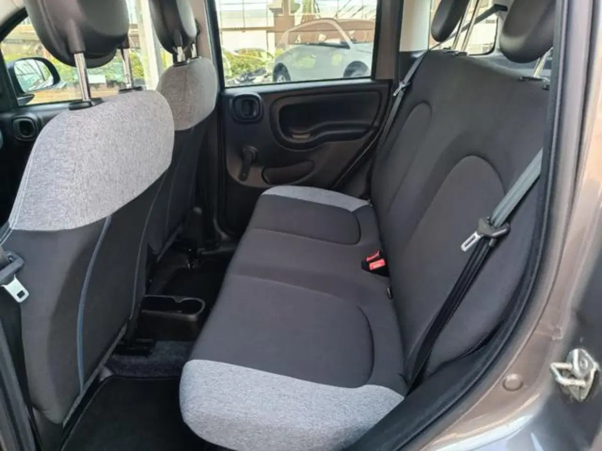 Fiat Panda usata a Pisa (19)