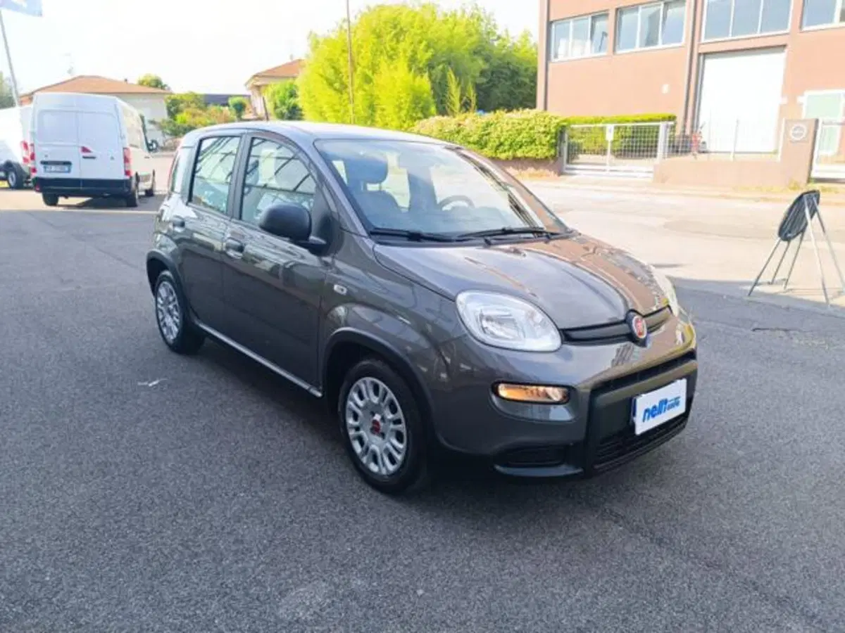Fiat Panda usata a Pisa (2)