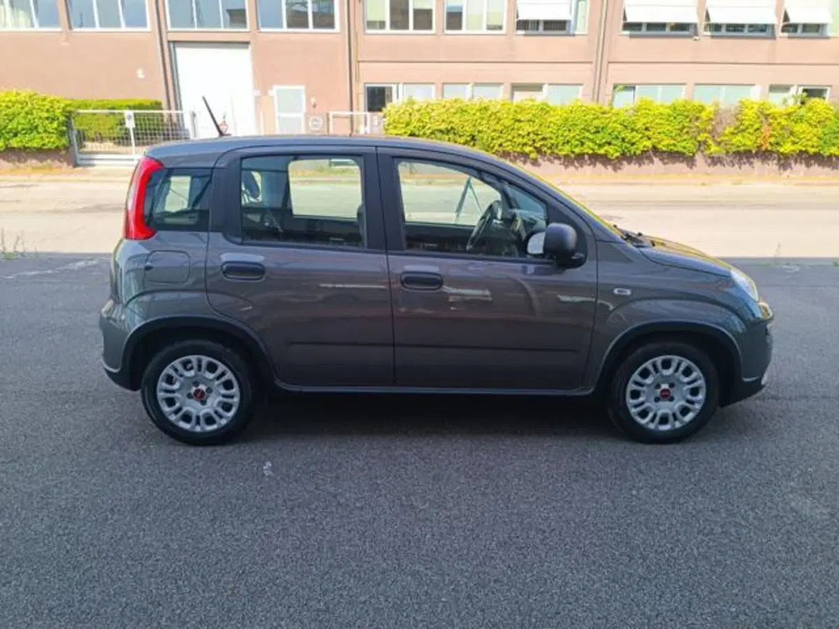 Fiat Panda usata a Pisa (3)