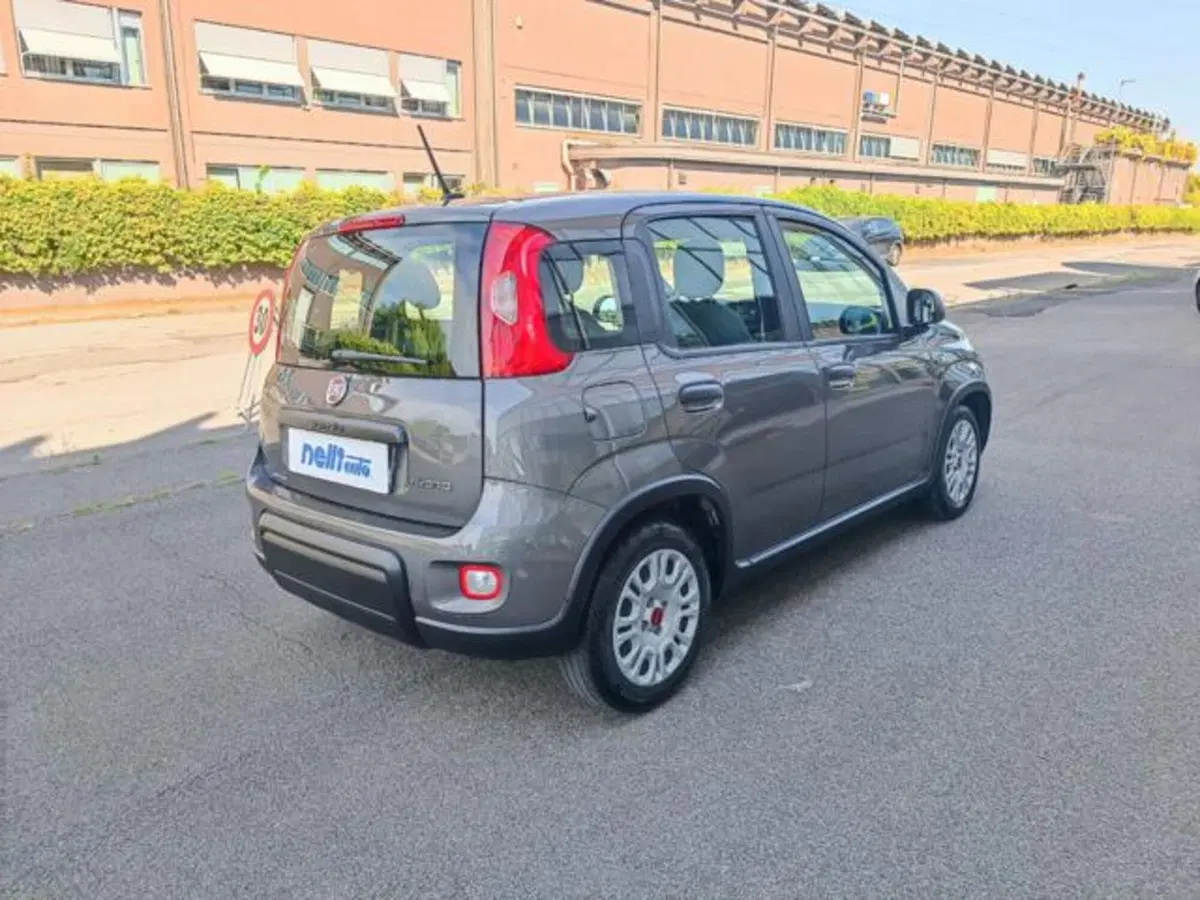 Fiat Panda usata a Pisa (4)