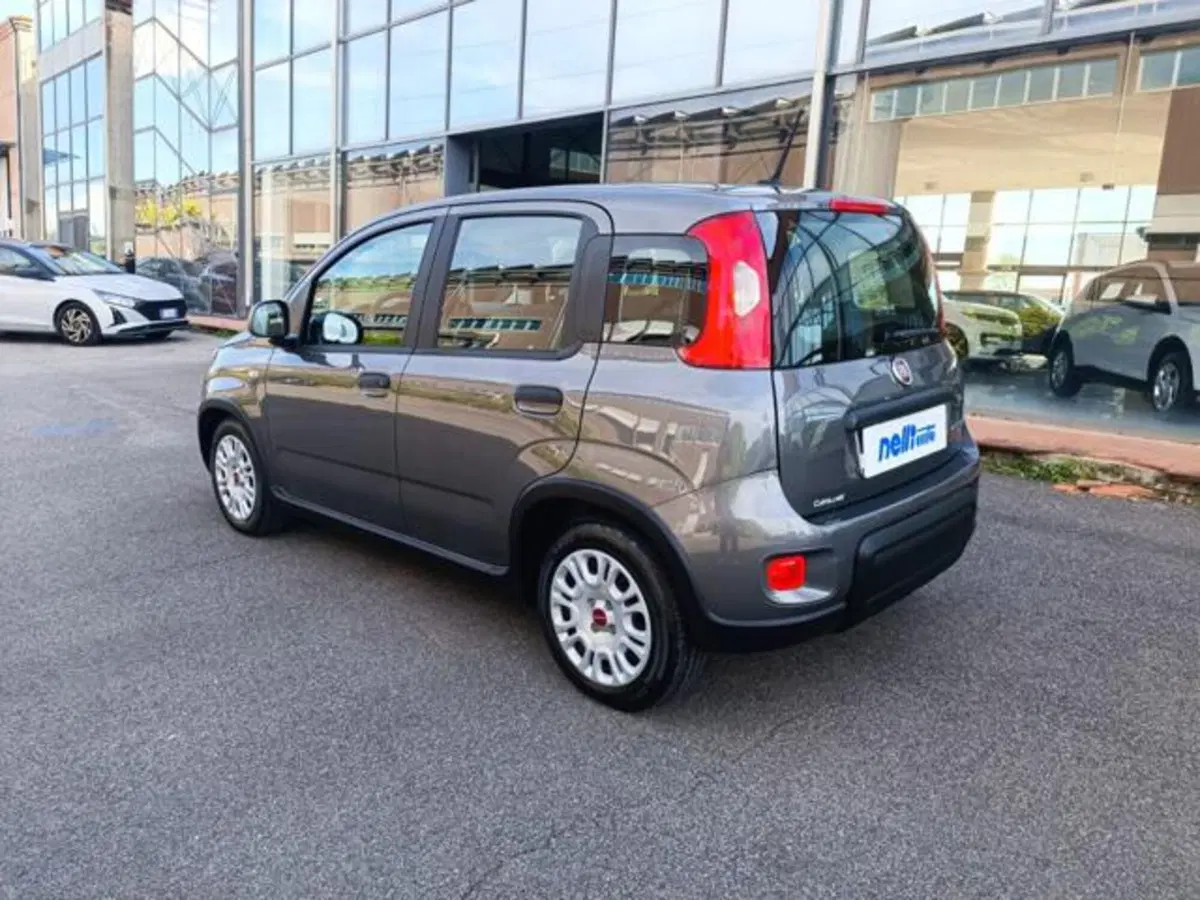 Fiat Panda usata a Pisa (5)