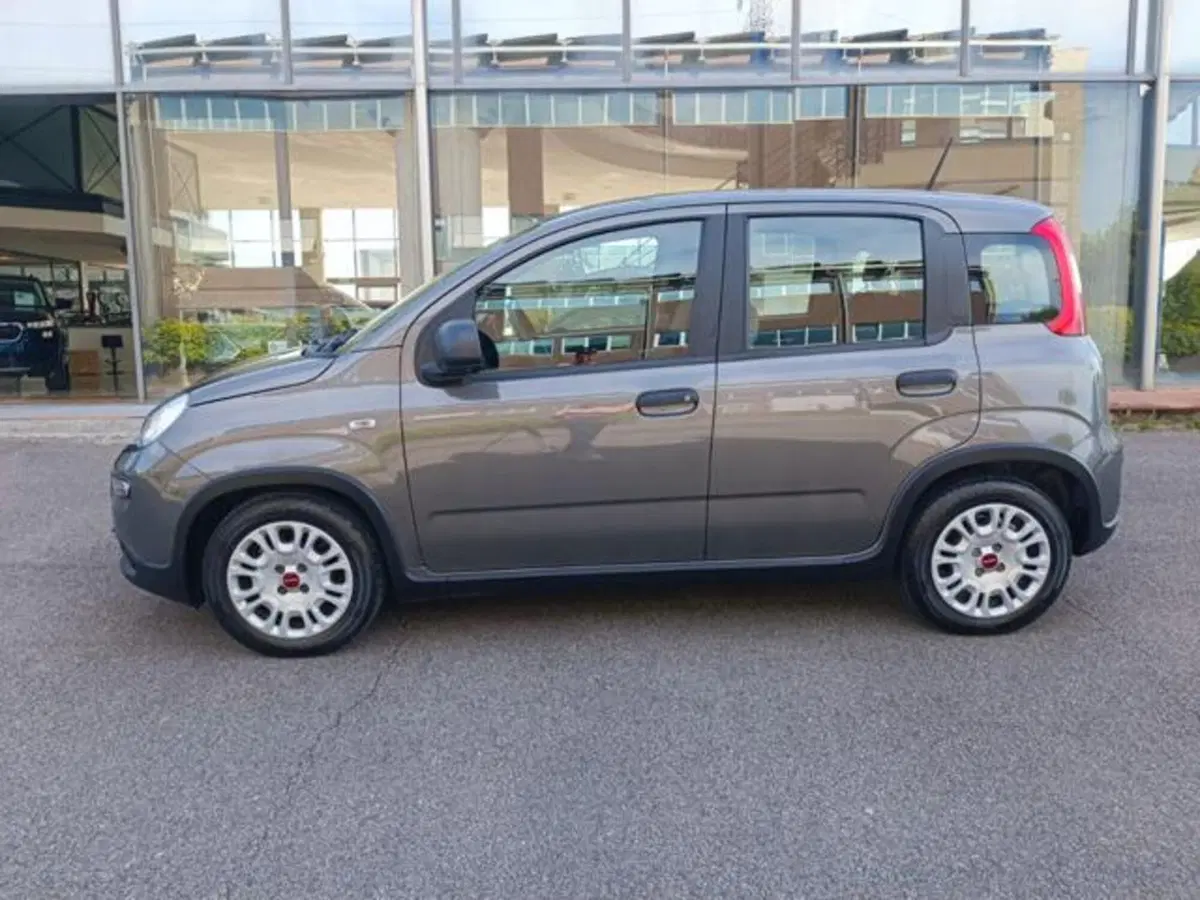 Fiat Panda usata a Pisa (6)