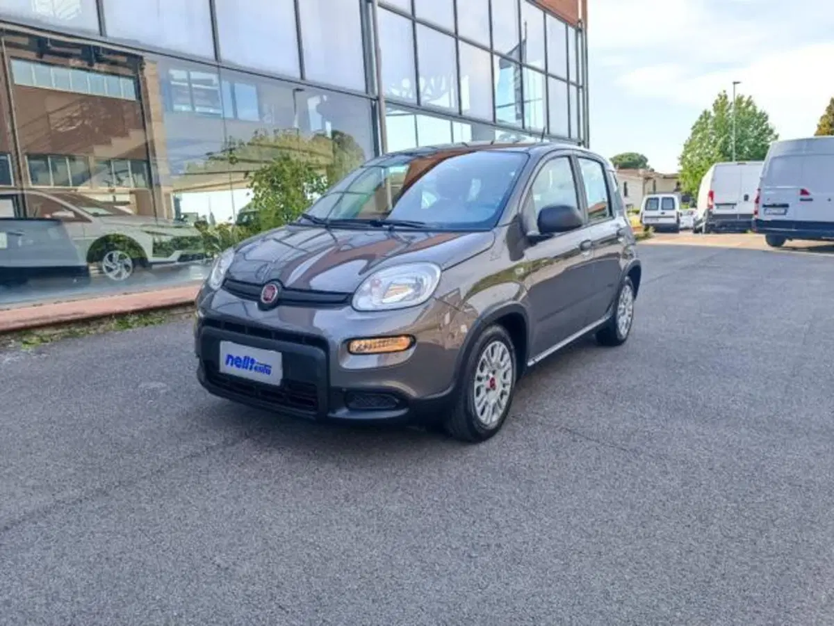 Fiat Panda usata a Pisa (7)