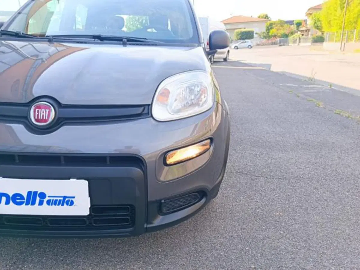 Fiat Panda usata a Pisa (8)