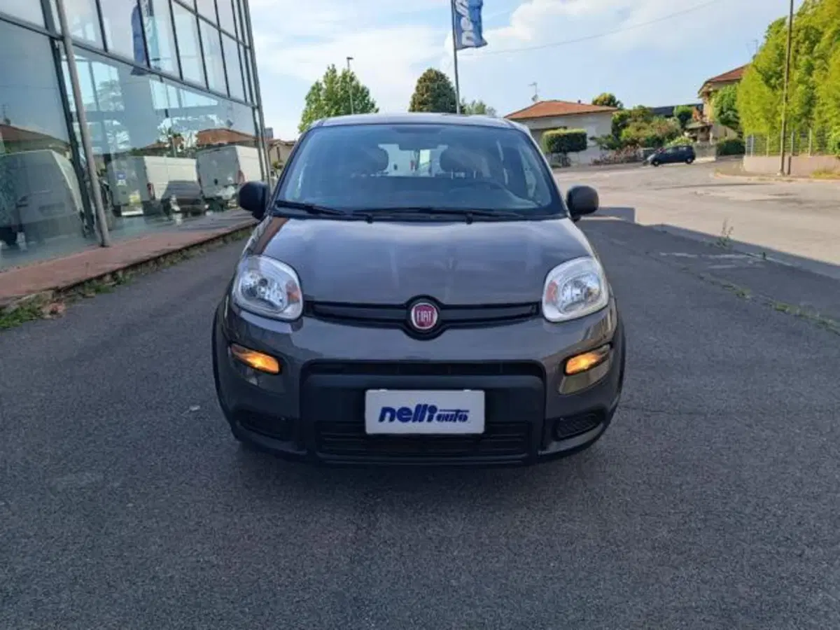 Fiat Panda usata a Pisa (9)