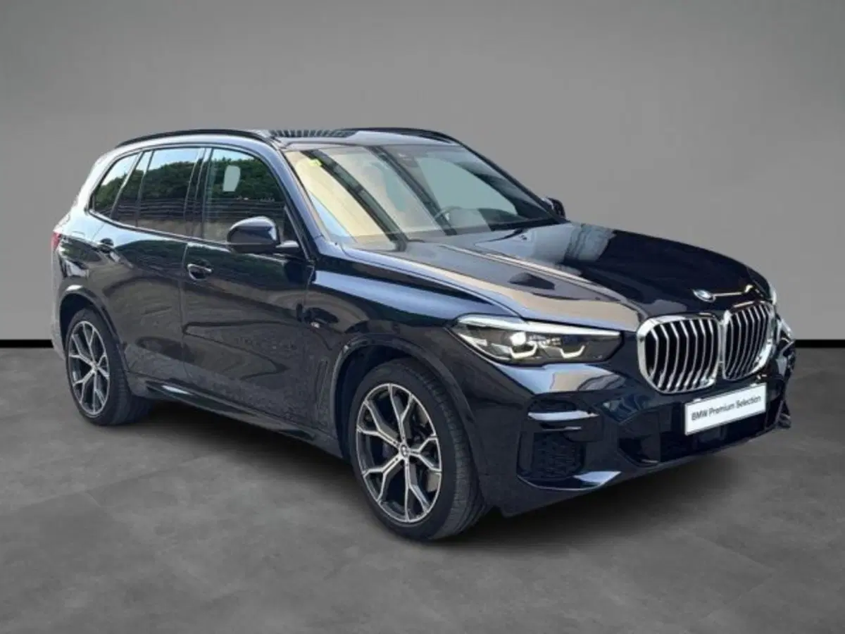 BMW X5 usata a Verona (19)