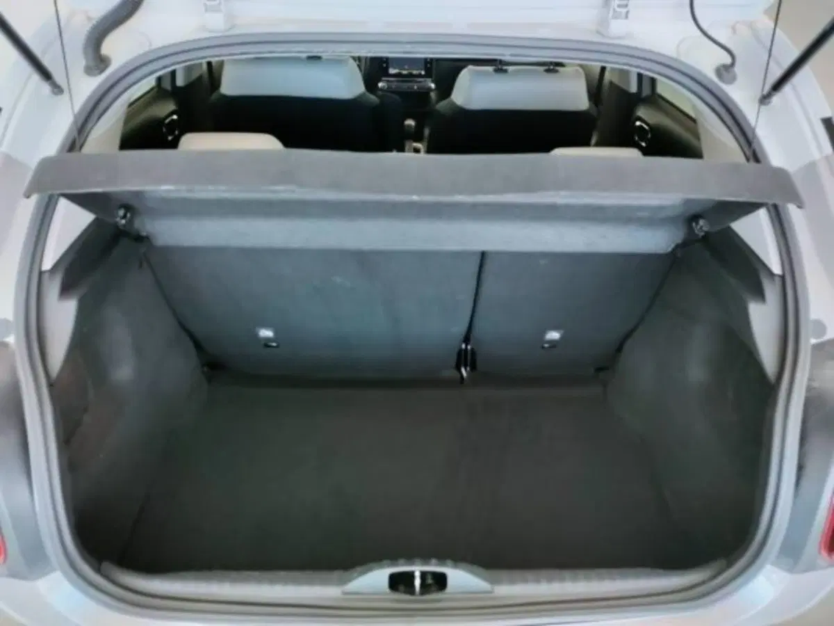 Citroen C3 usata a Teramo (6)