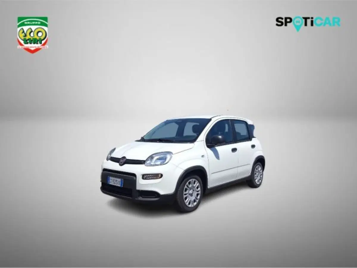 Fiat Panda usata a Frosinone